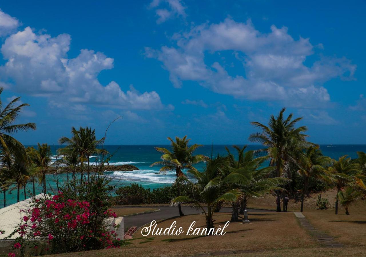 Charmant Studio Kannel Au Manganao Vue Sur Mer Et Panier D'Accueil Offert Saint-Francois  Luaran gambar